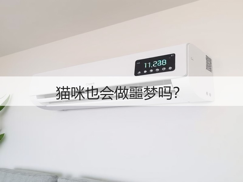 猫咪也会做噩梦吗？