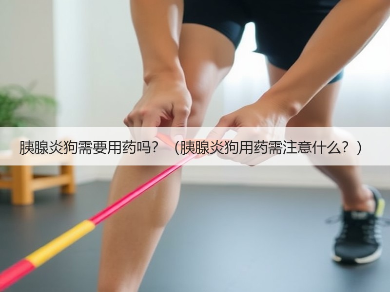 胰腺炎狗需要用药吗？（胰腺炎狗用药需注意什么？）
