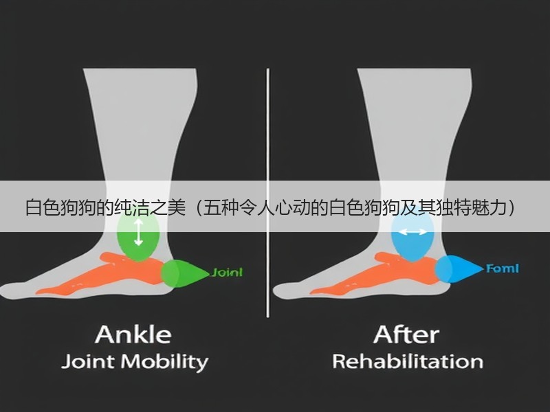 白色狗狗的纯洁之美（五种令人心动的白色狗狗及其独特魅力）