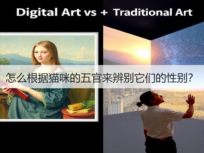 怎么根据猫咪的五官来辨别它们的性别？