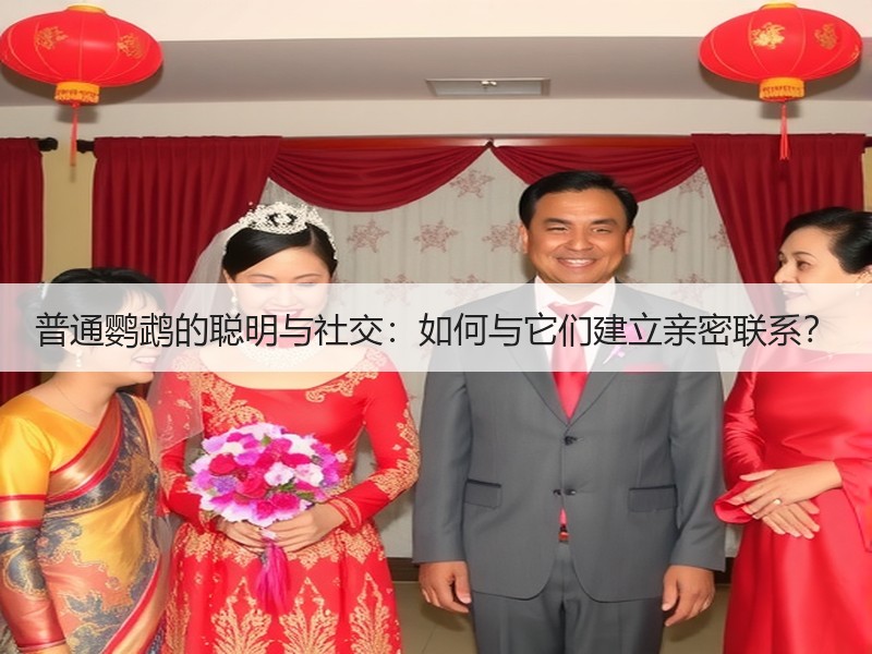 普通鹦鹉的聪明与社交：如何与它们建立亲密联系？