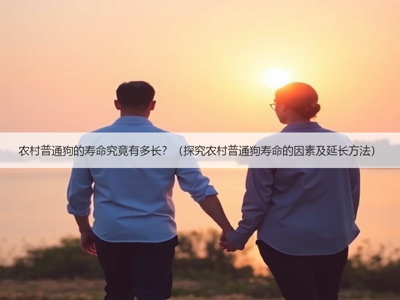 农村普通狗的寿命究竟有多长？（探究农村普通狗寿命的因素及延长方法）