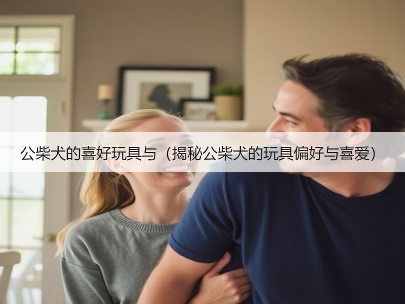 公柴犬的喜好玩具与（揭秘公柴犬的玩具偏好与喜爱）