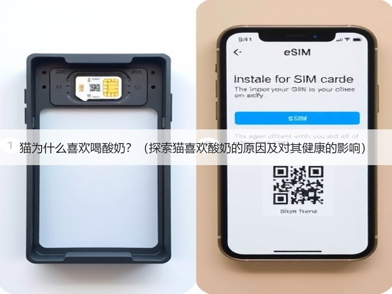猫为什么喜欢喝酸奶？（探索猫喜欢酸奶的原因及对其健康的影响）