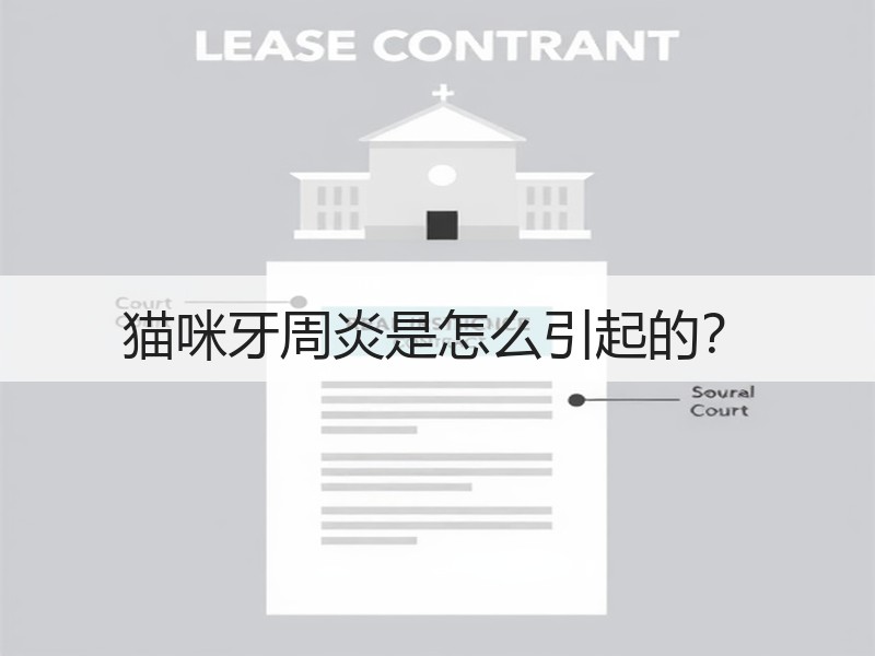 猫咪牙周炎是怎么引起的？