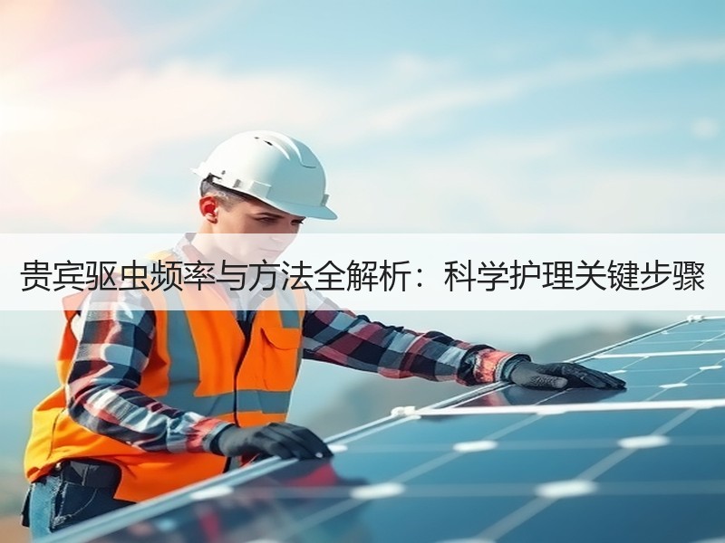 贵宾驱虫频率与方法全解析：科学护理关键步骤