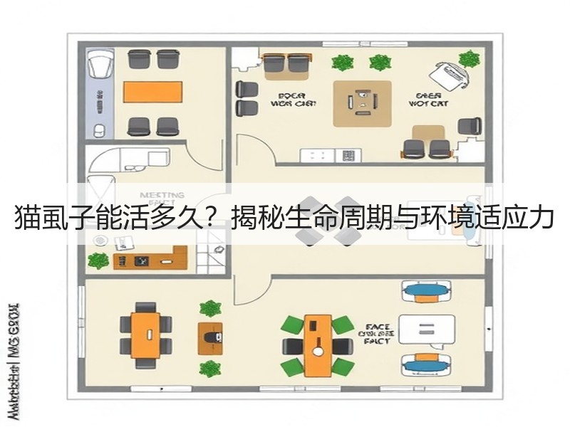 猫虱子能活多久？揭秘生命周期与环境适应力