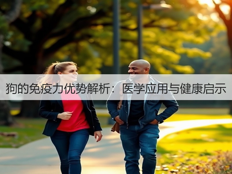 狗的免疫力优势解析：医学应用与健康启示