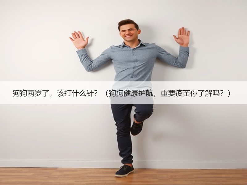 狗狗两岁了，该打什么针？（狗狗健康护航，重要疫苗你了解吗？）