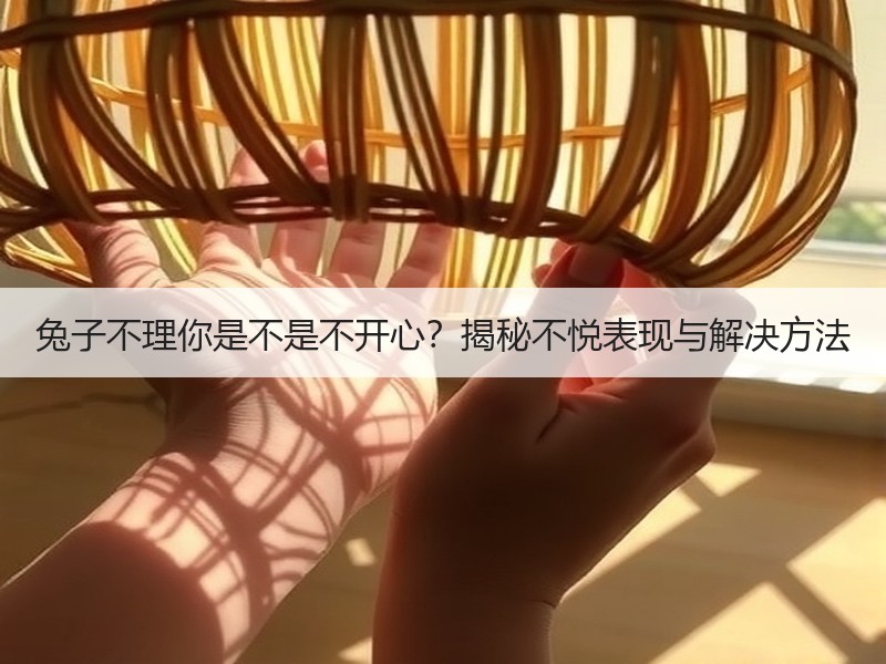 兔子不理你是不是不开心？揭秘不悦表现与解决方法