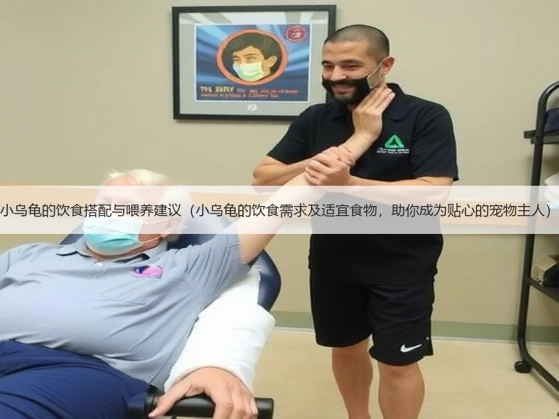 小乌龟的饮食搭配与喂养建议（小乌龟的饮食需求及适宜食物，助你成为贴心的宠物主人）