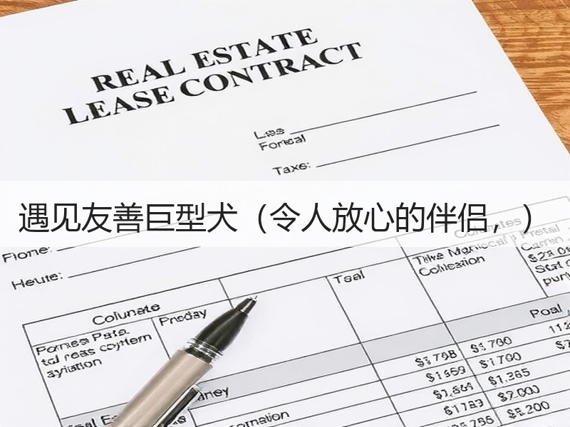 遇见友善巨型犬（令人放心的伴侣，）