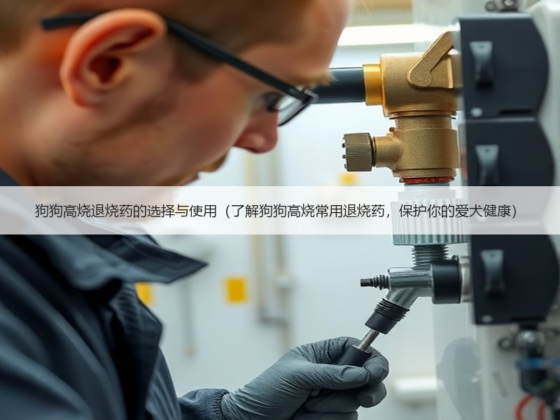 狗狗高烧退烧药的选择与使用（了解狗狗高烧常用退烧药，保护你的爱犬健康）