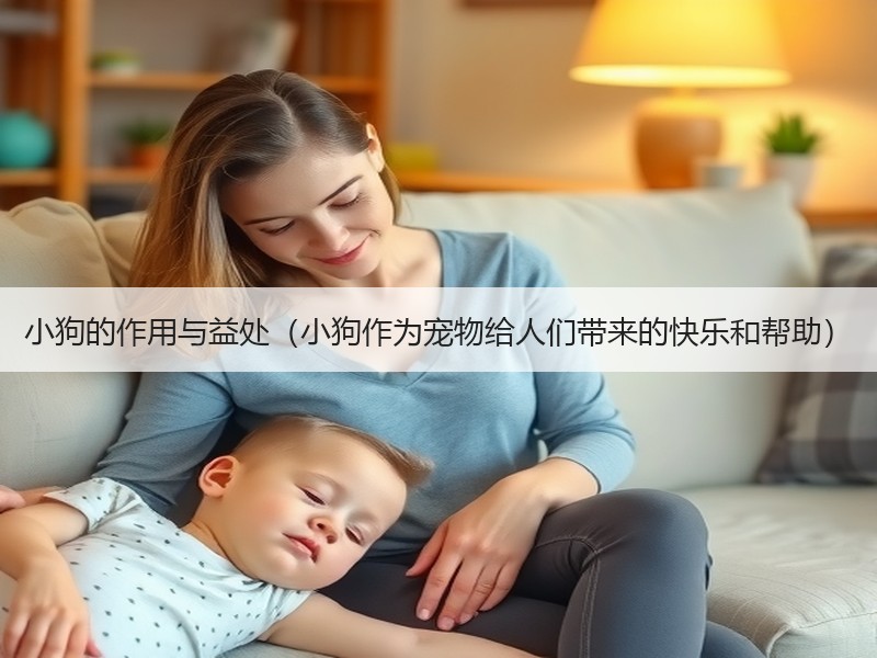 小狗的作用与益处（小狗作为宠物给人们带来的快乐和帮助）