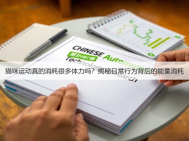 猫咪运动真的消耗很多体力吗？揭秘日常行为背后的能量消耗