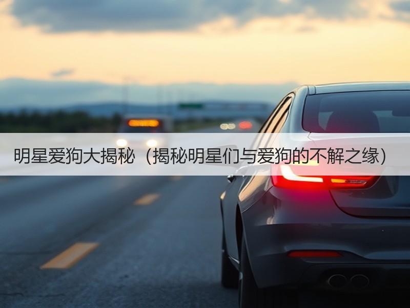 明星爱狗大揭秘（揭秘明星们与爱狗的不解之缘）