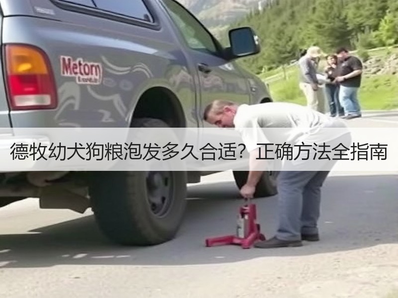 德牧幼犬狗粮泡发多久合适？正确方法全指南