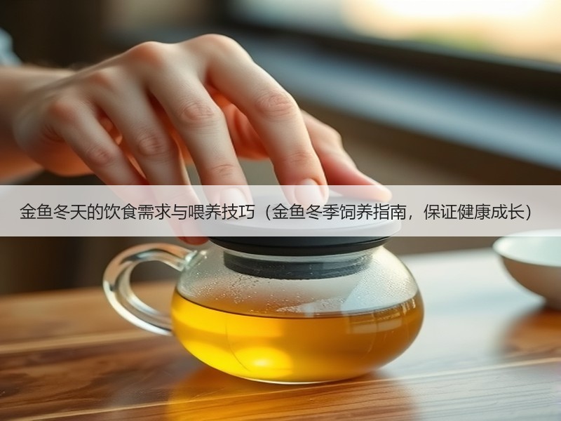 金鱼冬天的饮食需求与喂养技巧（金鱼冬季饲养指南，保证健康成长）