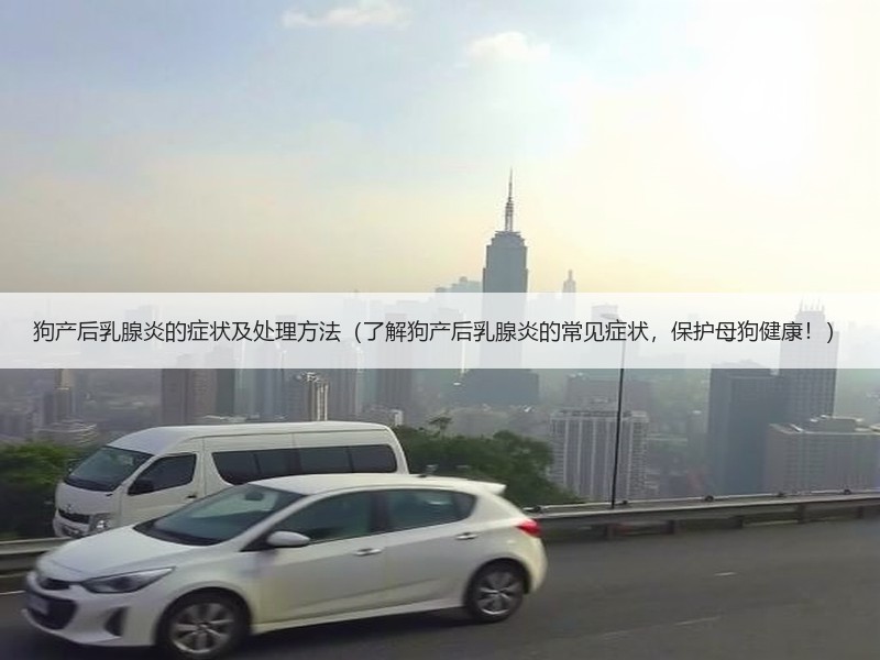 狗产后乳腺炎的症状及处理方法（了解狗产后乳腺炎的常见症状，保护母狗健康！）