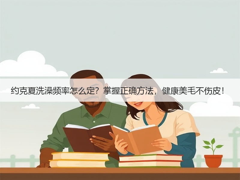 约克夏洗澡频率怎么定？掌握正确方法，健康美毛不伤皮！
