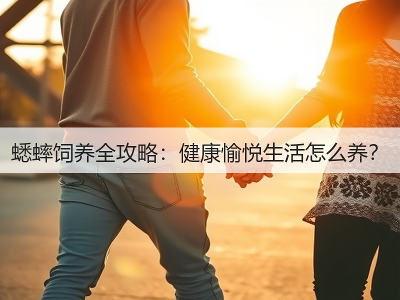 蟋蟀饲养全攻略：健康愉悦生活怎么养？