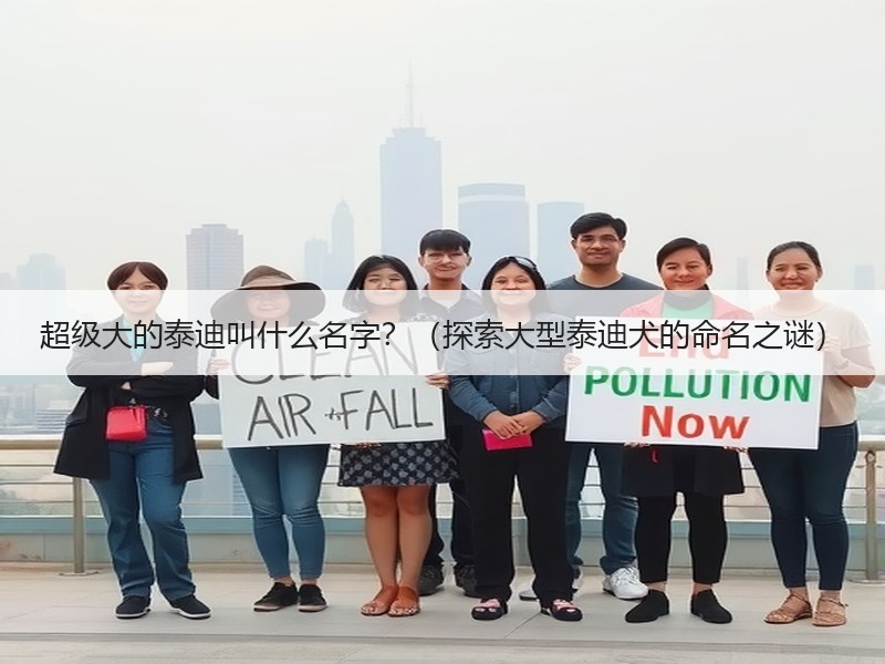 超级大的泰迪叫什么名字？（探索大型泰迪犬的命名之谜）
