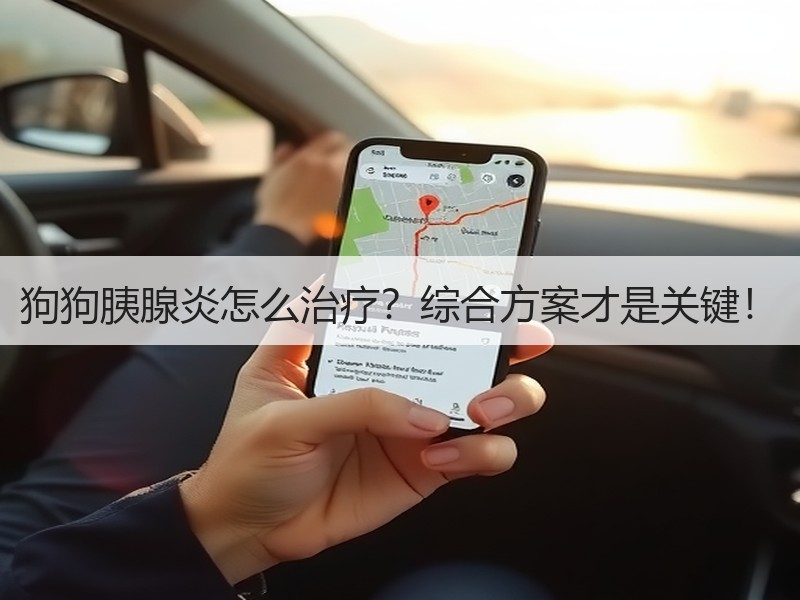 狗狗胰腺炎怎么治疗？综合方案才是关键！