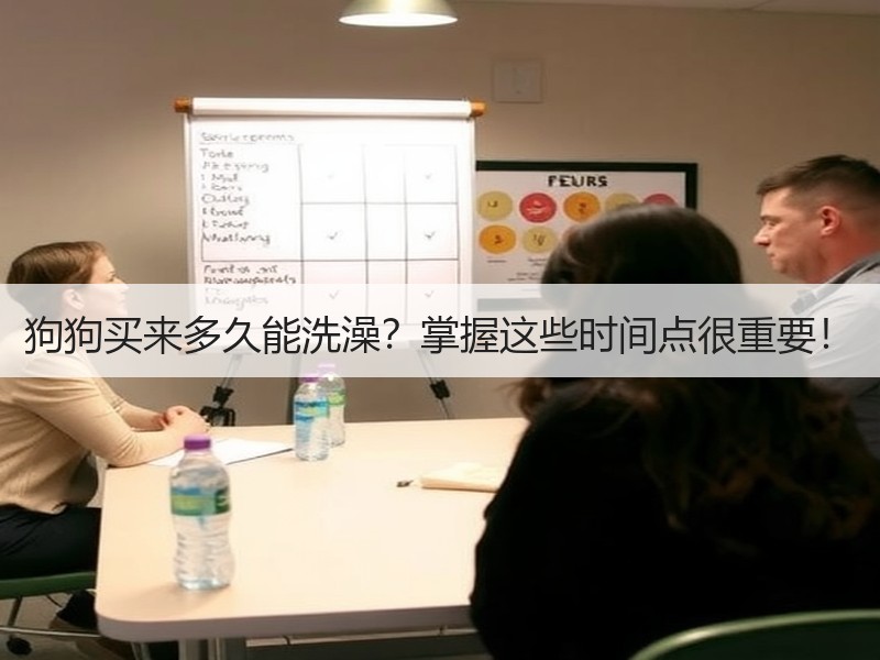 狗狗买来多久能洗澡？掌握这些时间点很重要！