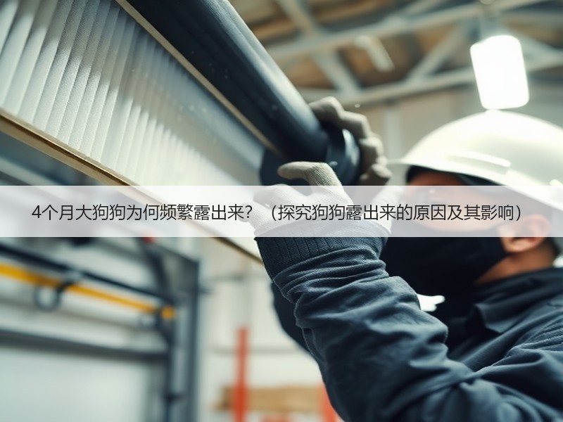 4个月大狗狗为何频繁露出来？（探究狗狗露出来的原因及其影响）