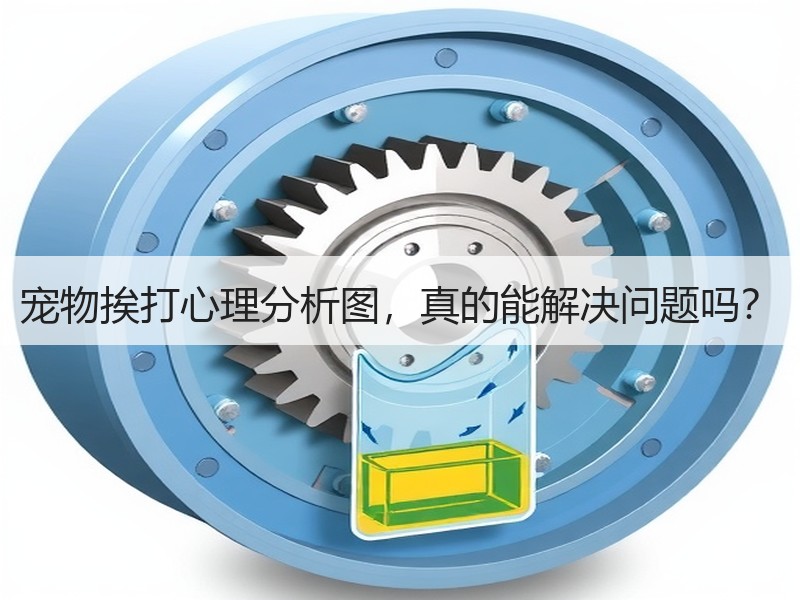 宠物挨打心理分析图，真的能解决问题吗？