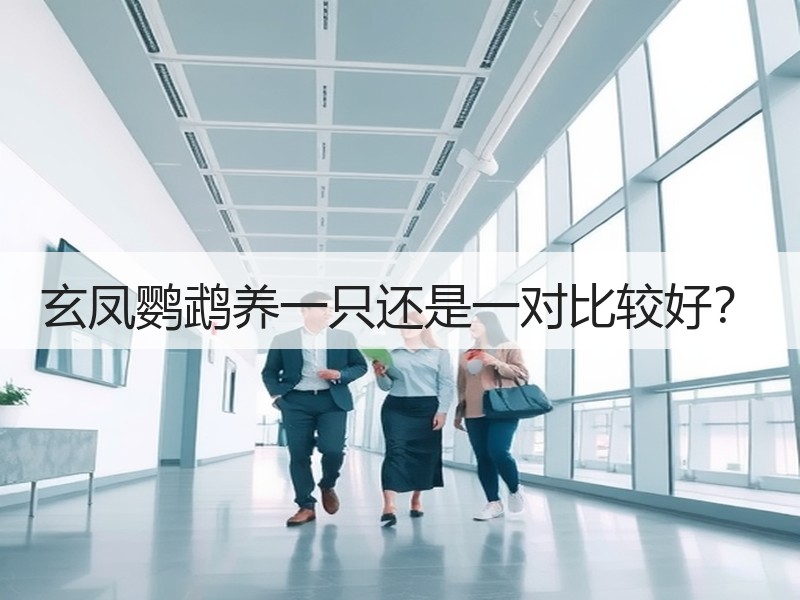 玄凤鹦鹉养一只还是一对比较好？