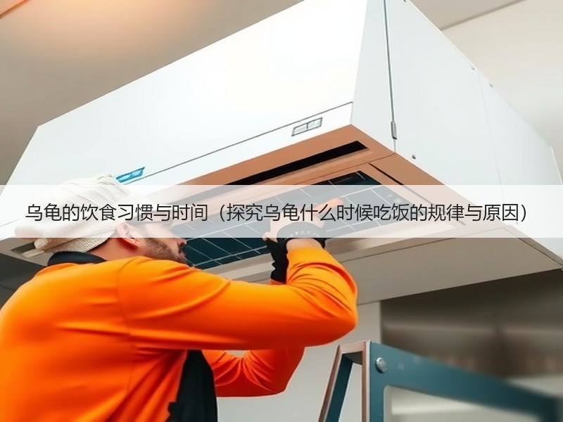 乌龟的饮食习惯与时间（探究乌龟什么时候吃饭的规律与原因）