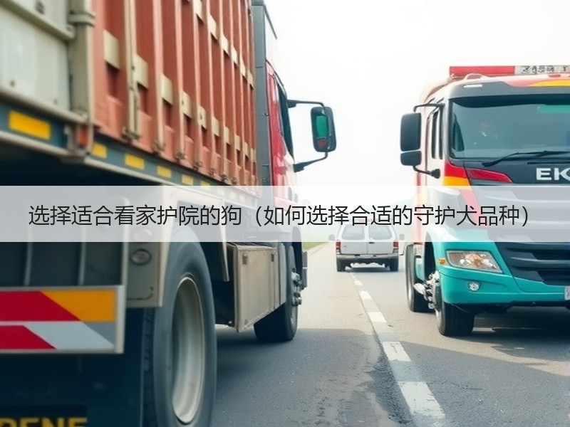 选择适合看家护院的狗（如何选择合适的守护犬品种）