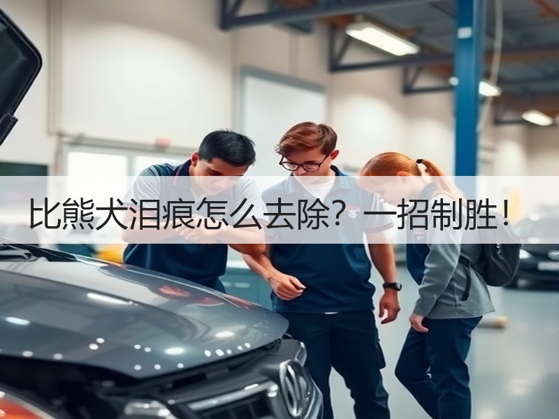 比熊犬泪痕怎么去除？一招制胜！