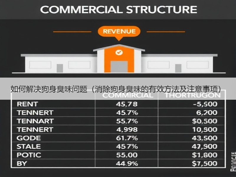 如何解决狗身臭味问题（消除狗身臭味的有效方法及注意事项）