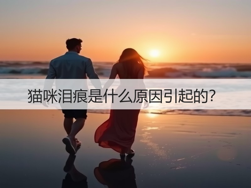 猫咪泪痕是什么原因引起的？
