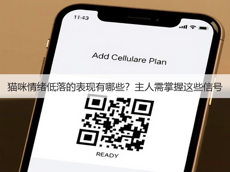 猫咪情绪低落的表现有哪些？主人需掌握这些信号