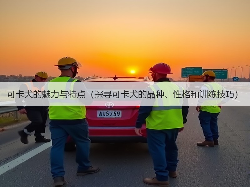 可卡犬的魅力与特点（探寻可卡犬的品种、性格和训练技巧）