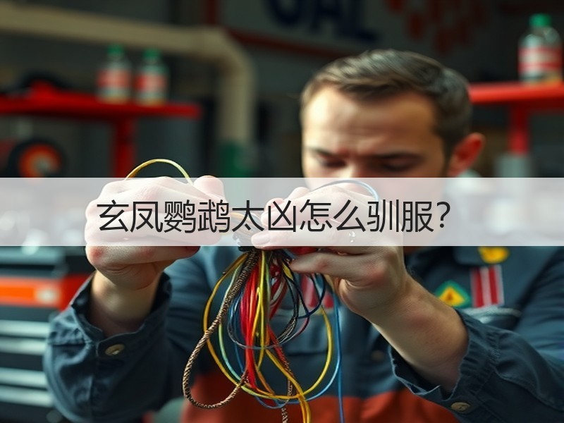 玄凤鹦鹉太凶怎么驯服？