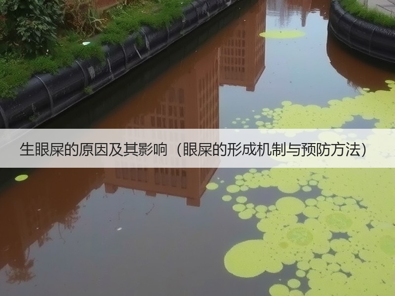 生眼屎的原因及其影响（眼屎的形成机制与预防方法）