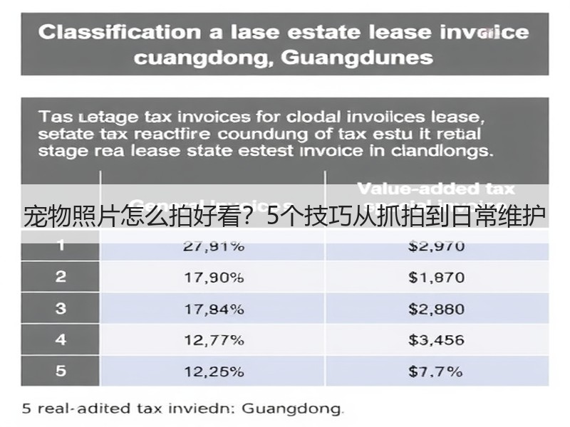 宠物照片怎么拍好看？5个技巧从抓拍到日常维护
