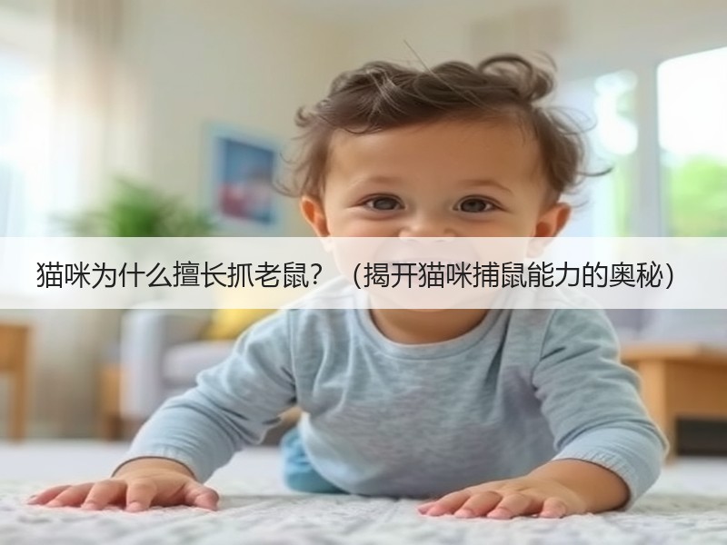 猫咪为什么擅长抓老鼠？（揭开猫咪捕鼠能力的奥秘）