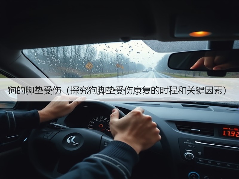 狗的脚垫受伤（探究狗脚垫受伤康复的时程和关键因素）