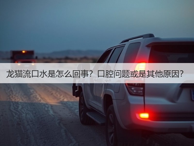 龙猫流口水是怎么回事？口腔问题或是其他原因？