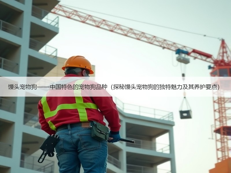 馒头宠物狗——中国特色的宠物狗品种（探秘馒头宠物狗的独特魅力及其养护要点）