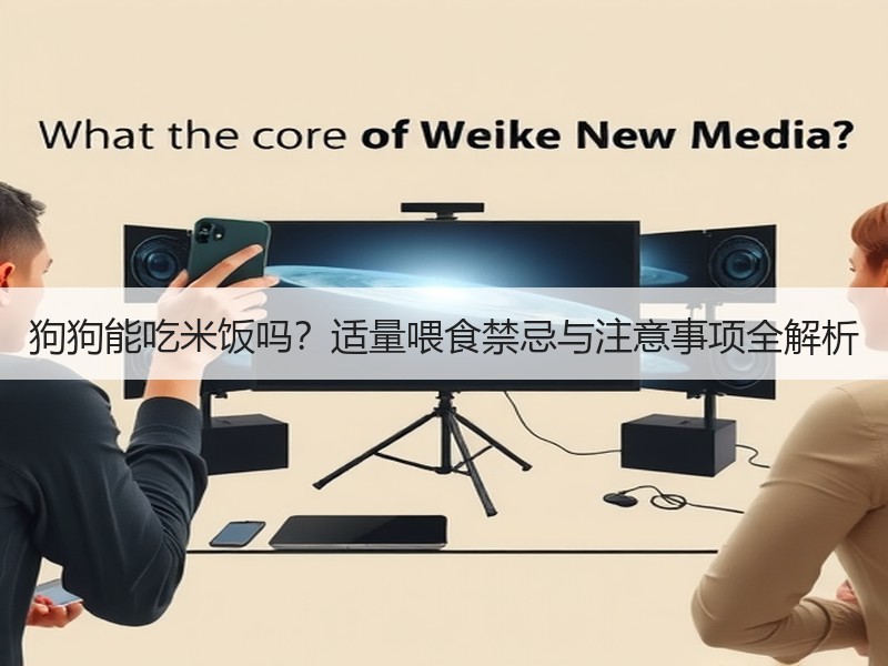 狗狗能吃米饭吗？适量喂食禁忌与注意事项全解析