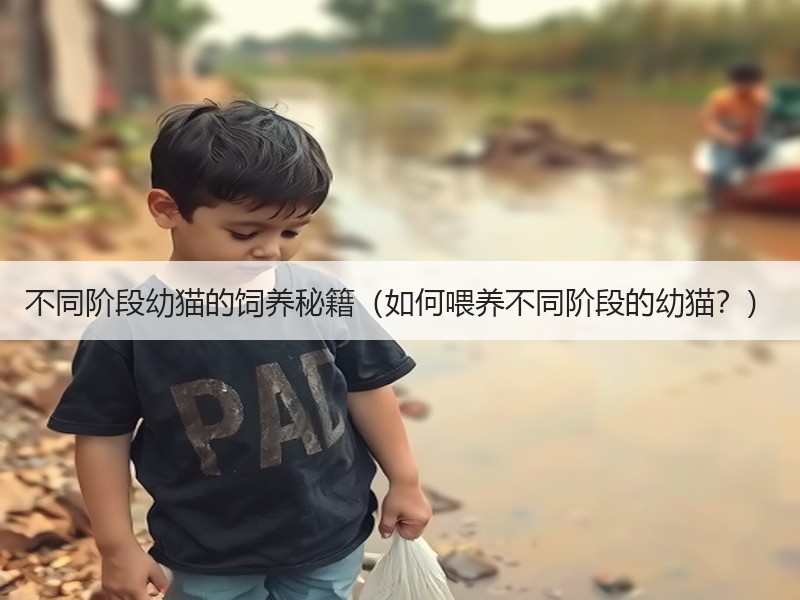 不同阶段幼猫的饲养秘籍（如何喂养不同阶段的幼猫？）