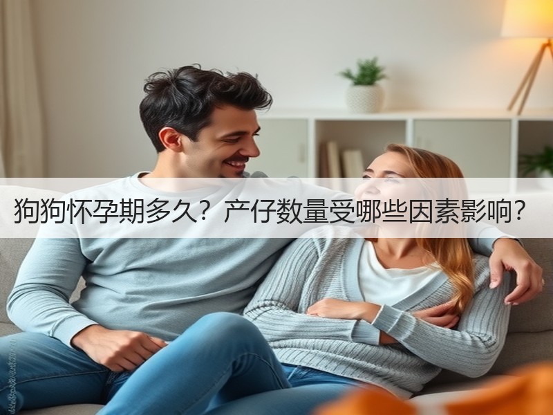 狗狗怀孕期多久？产仔数量受哪些因素影响？