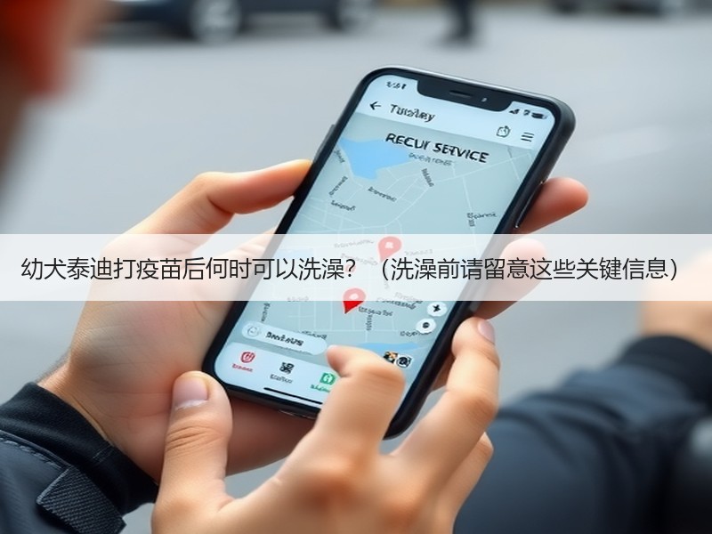 幼犬泰迪打疫苗后何时可以洗澡？（洗澡前请留意这些关键信息）