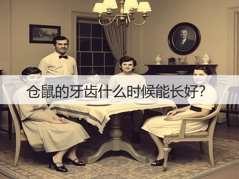 仓鼠的牙齿什么时候能长好？